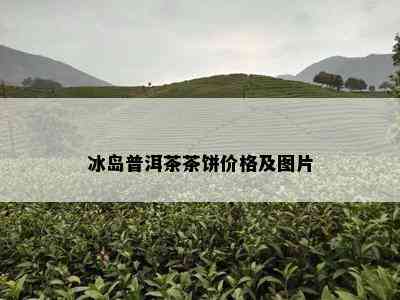 冰岛普洱茶茶饼价格及图片