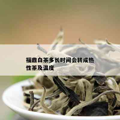 福鼎白茶多长时间会转成热性茶及温度