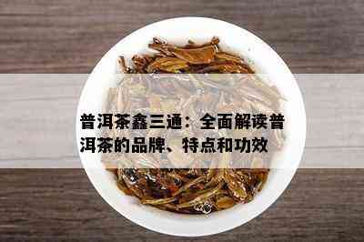 普洱茶鑫三通：全面解读普洱茶的品牌、特点和功效