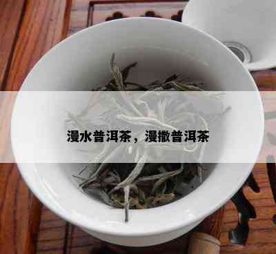 漫水普洱茶，漫撒普洱茶