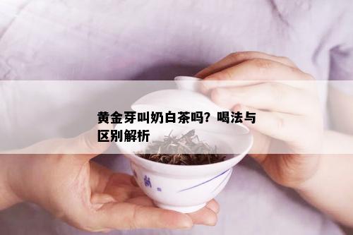 黄金芽叫奶白茶吗？喝法与区别解析