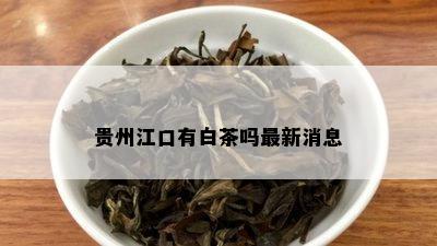 贵州江口有白茶吗最新消息