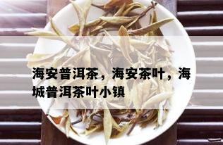 海安普洱茶，海安茶叶，海城普洱茶叶小镇