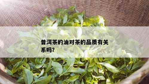 普洱茶的油对茶的品质有关系吗？