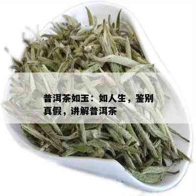 普洱茶如玉：如人生，鉴别真假，讲解普洱茶