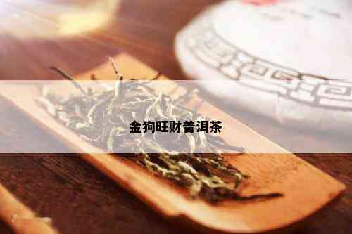 金狗旺财普洱茶