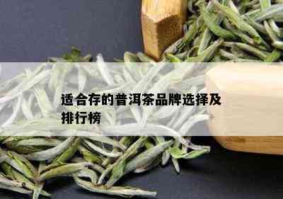 适合存的普洱茶品牌选择及排行榜