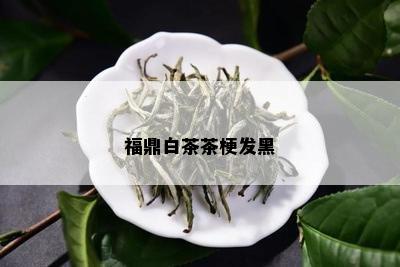 福鼎白茶茶梗发黑