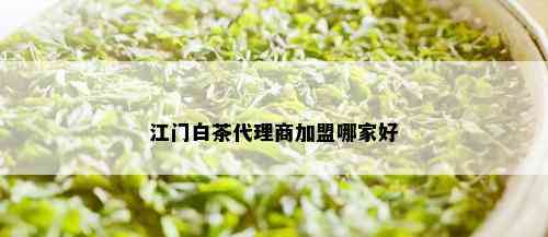 江门白茶代理商加盟哪家好