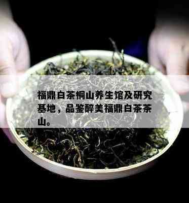 福鼎白茶桐山养生馆及研究基地，品鉴醉美福鼎白茶茶山。