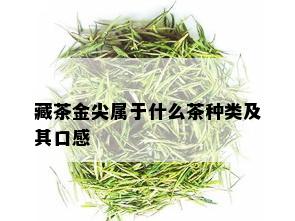 藏茶金尖属于什么茶种类及其口感