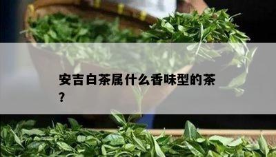 安吉白茶属什么香味型的茶？