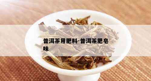 普洱茶用肥料-普洱茶肥皂味