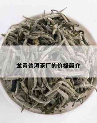 龙丙普洱茶厂的价格简介