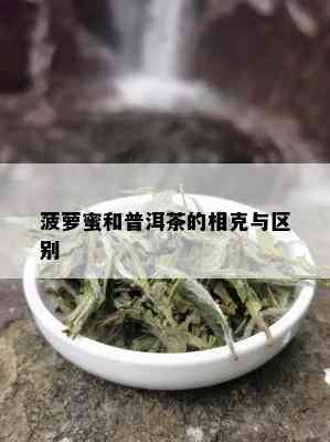 菠萝蜜和普洱茶的相克与区别