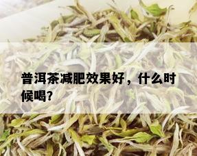 普洱茶减肥效果好，什么时候喝？