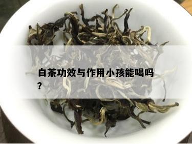 白茶功效与作用小孩能喝吗？