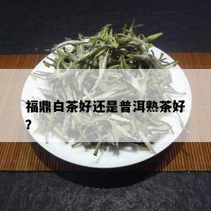 福鼎白茶好还是普洱熟茶好？