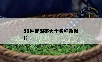 50种普洱茶大全名称及图片