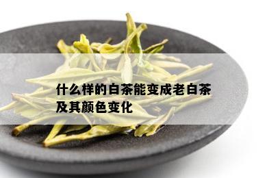 什么样的白茶能变成老白茶及其颜色变化