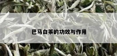 巴马白茶的功效与作用