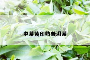 中茶黄印熟普洱茶