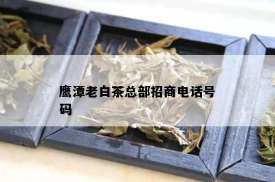 鹰潭老白茶总部招商电话号码