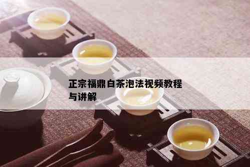 正宗福鼎白茶泡法视频教程与讲解