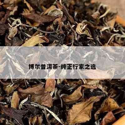 博尔普洱茶-纯正行家之选