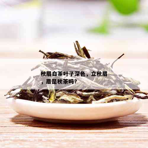 秋眉白茶叶子深色，立秋眉，眉是秋茶吗?