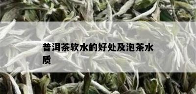 普洱茶软水的好处及泡茶水质