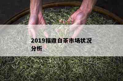 2019福鼎白茶市场状况分析