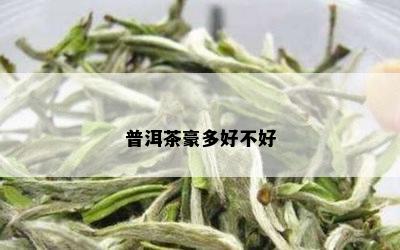 普洱茶豪多好不好