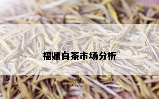 福鼎白茶市场分析