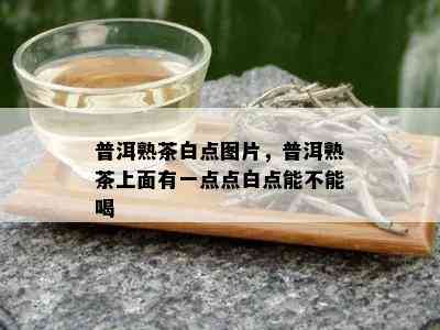 普洱熟茶白点图片，普洱熟茶上面有一点点白点能不能喝