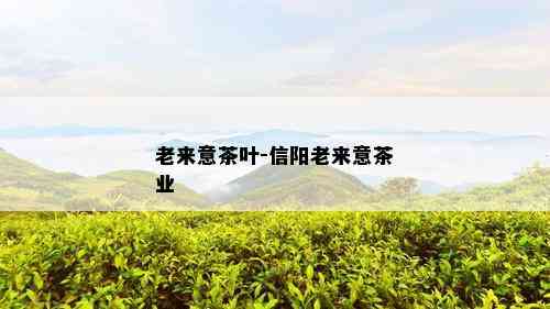 老来意茶叶-信阳老来意茶业