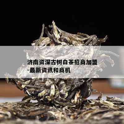 济南资深古树白茶招商加盟-最新资讯和商机