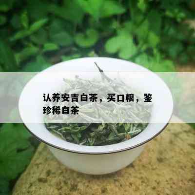 认养安吉白茶，买口粮，鉴珍稀白茶