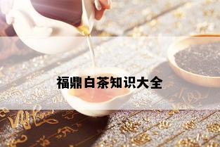 福鼎白茶知识大全