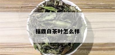 福鼎白茶叶怎么样