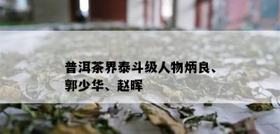 普洱茶界泰斗级人物炳良、郭少华、赵晖