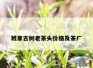 班章古树老茶头价格及茶厂