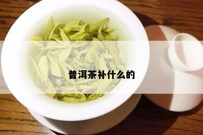 普洱茶补什么的