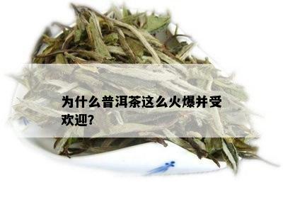 为什么普洱茶这么火爆并受欢迎？