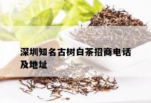 深圳知名古树白茶招商电话及地址