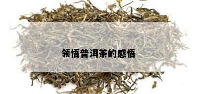 领悟普洱茶的感悟