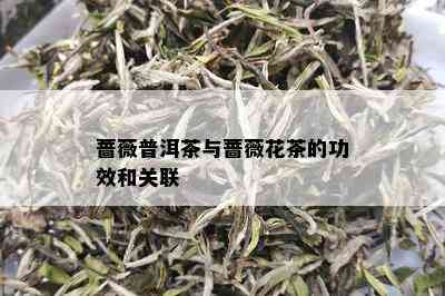 蔷薇普洱茶与蔷薇花茶的功效和关联