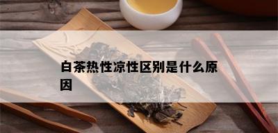 白茶热性凉性区别是什么原因