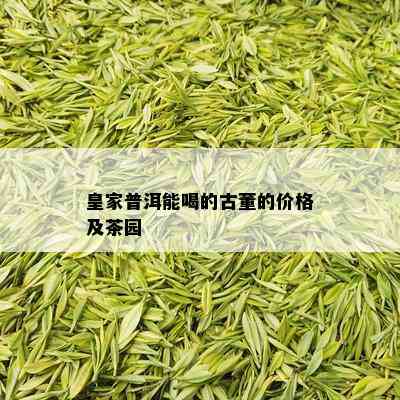 皇家普洱能喝的古董的价格及茶园