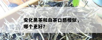 安化黑茶和白茶口感相似，哪个更好？